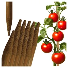 tyczka-drewniany-palik-do-roslin-podpora-do-pomidorow-fi-23-mm-x-80cm
