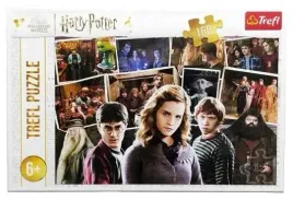 puzzle-160-harry-potter-i-przyjaciele-trefl