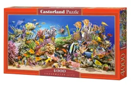 puzzle-4000-podwodne-zycie-castorland-c-400089