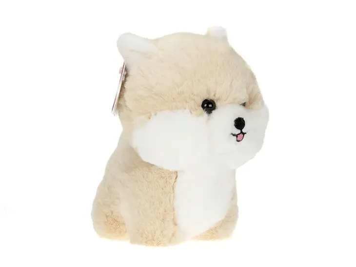 maskotka-teddy-pets-pomeranian-certyfikaty-opinie-atesty-ce