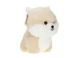 maskotka-teddy-pets-pomeranian-certyfikaty-opinie-atesty-ce