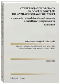 cyfryzacja-wspolpracy-sadowej-i-dostepu-do-wymiaru-sprawiedliwosci-w