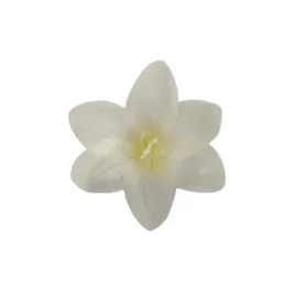 lilijka-wyrobowa-kremowa-24-szt