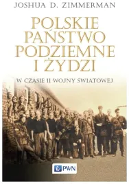 polskie-panstwo-podziemne-i-zydzi-w-czasie-ii