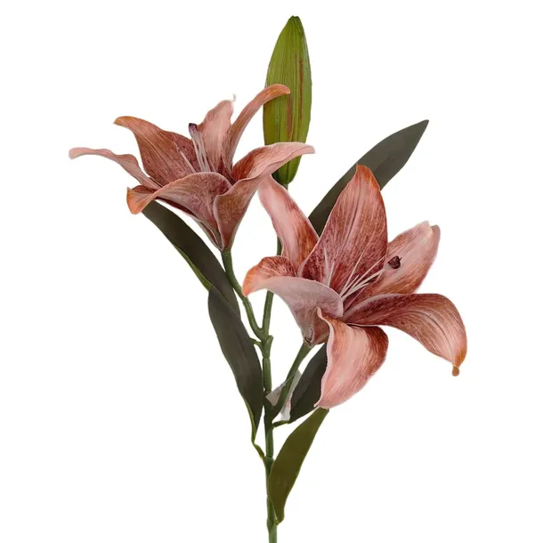 lilia-pojedyncza-x2-brazowa