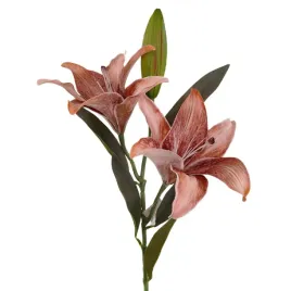 lilia-pojedyncza-x2-brazowa
