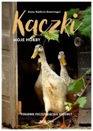 kaczki-moje-hobby-poradnik-poczatkujacego