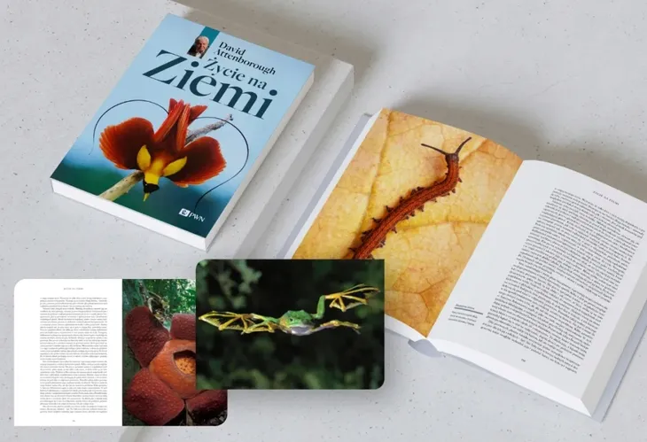 zycie-na-ziemi-david-attenborough-stan-nowy