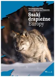 ssaki-drapiezne-europy