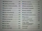 ssaki-drapiezne-europy-wydawnictwo-inne