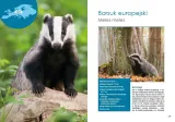 ssaki-drapiezne-europy-wysokosc-produktu-289-cm