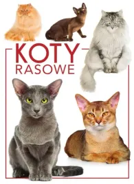 koty-rasowe-praca-zbiorowa