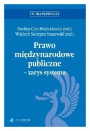 prawo-miedzynarodowe-publiczne-zarys-systemu
