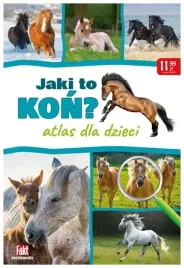 bulki-bagietki-bajgle-domowy-wypiek-fakt-radzi-