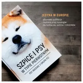 szpice-i-psy-w-typie-pierwotnym