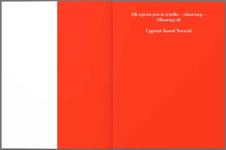 polska-eseje-o-stuleciu-wydanie-standardowe