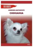matuszczyk-chihuahua