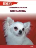 matuszczyk-chihuahua-stan-nowy
