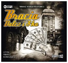 bracia-dalcz-i-s-ka-dolega-mostowicz