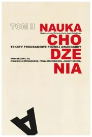 nauka-chodzenia-t2-browarny