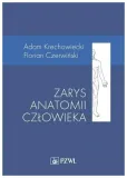 zarys-anatomii-czlowieka