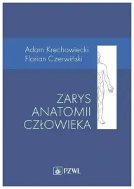 zarys-anatomii-czlowieka