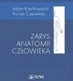 zarys-anatomii-czlowieka-przedmiot-przedmioty-zawodowe