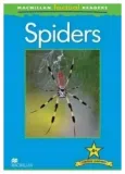 factual-spiders-4