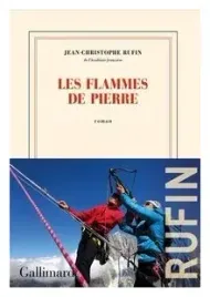 flammes-de-pierre-literatura-francuska-rufin