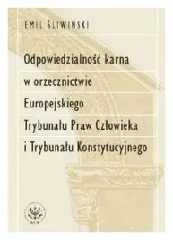 odpowiedzialnosc-karna-w-orzecznictwie