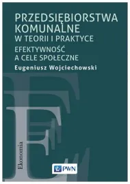 przedsiebiorstwa-komunalne-w-teorii-i-praktyce