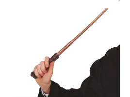 rozdzka-harryego-pottera-czarodzieja