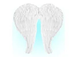 skrzydla-aniola-biale-z-piorami-60-x-46-cm-1-szt