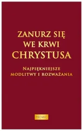 zanurz-sie-we-krwi-chrystusa-praca-zbiorowa