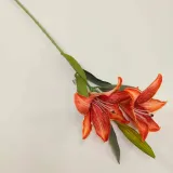 lilia-pojedyncza-x2-ruda-rodzaj-galazki