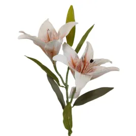 lilia-pojedyncza-x2-bezowa
