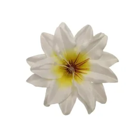 dalia-wyrobowa-kremowo-cytrynowa-12-szt