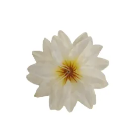 dalia-wyrobowa-kremowa-12-szt