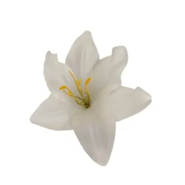 lilia-wyrobowa-pearl-12szt
