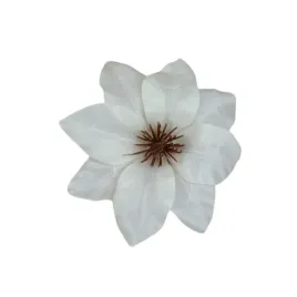 clematis-wyrobowy-24-szt-kremowy