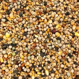 20kg-gruba-karma-dla-ptakow-zimujacych-ziarno-karma-pasza-do-karmnika