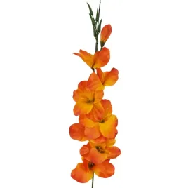 mieczyk-pojedynczy-sredni-orange-gm46-12-szt