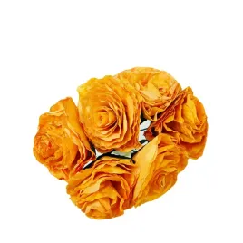 roze-x6-z-szuszonych-lisci-magnolii-zolte