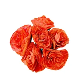 roze-x6-z-szuszonych-lisci-magnolii-pomaranczowe