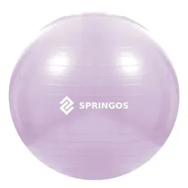 pilka-gimnastyczna-rehabilitacyjna-do-cwiczen-65-cm-fitness-pompka-150-kg