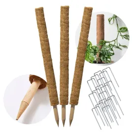 palik-kokosowy-60-cm-podpora-do-roslin-tyczka-3-szt-wlokno-kokosowe-zestaw