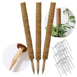 palik-kokosowy-45-cm-podpora-do-roslin-tyczka-3-szt-wlokno-kokosowe