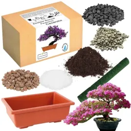 zestaw-do-uprawy-drzewka-bonsai-paulownia-cesarska-drzewko-ogrod-japonski