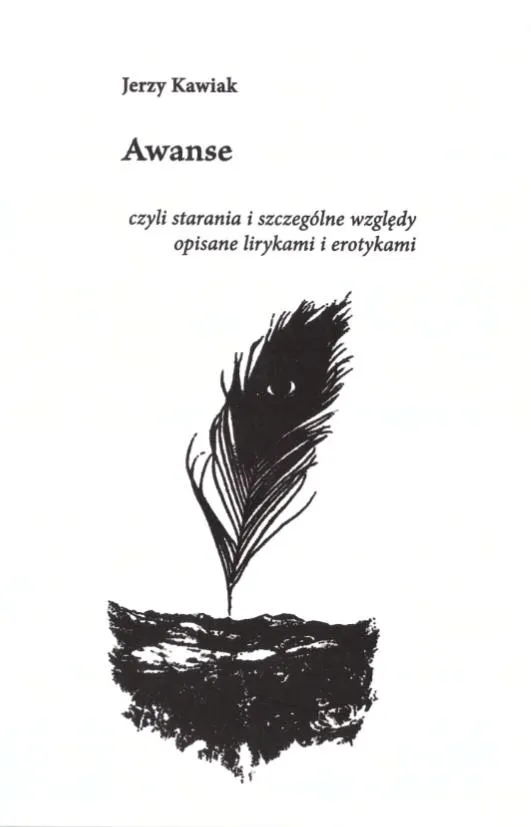 Grafika w opisie produktu