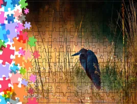 puzzle-tradycyjne-zwierzeta-ptak-producent